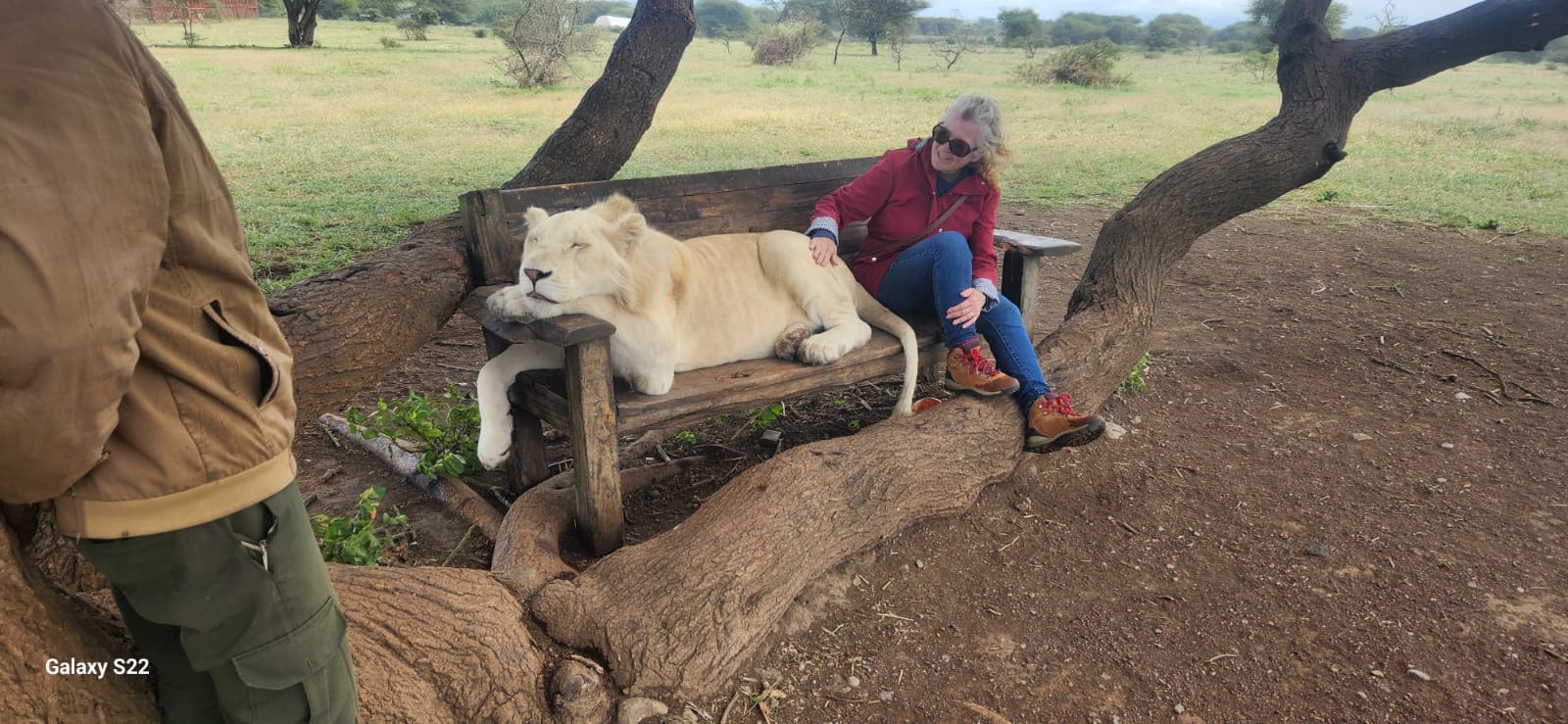 Myth vs. reality: Lions and human predation